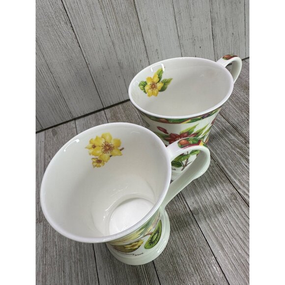 Vtg Crown Trent Fine Bone China Fruit Set of 2 Mugs Kiwi Papaya Pomegranate Fig - Picture 16 of 16